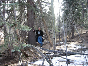 Matt Valley Home  in Conifer, Colorado